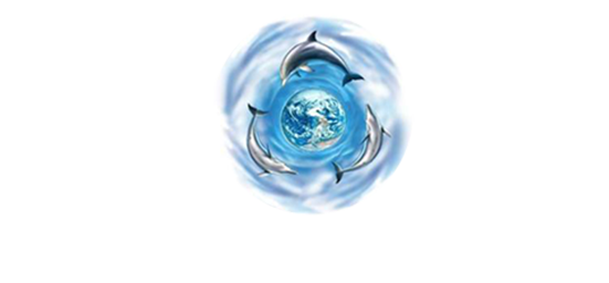 Les Dauphins 06