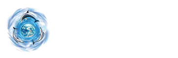 Les Dauphins 06